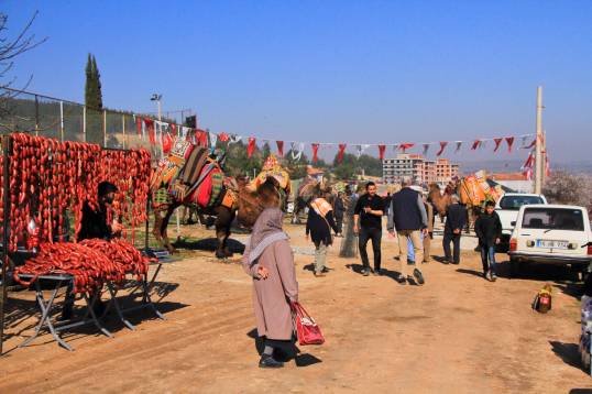 camelsIMG_6685_copy_copy